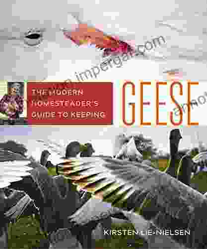 The Modern Homesteader S Guide To Keeping Geese: {Subtitle}