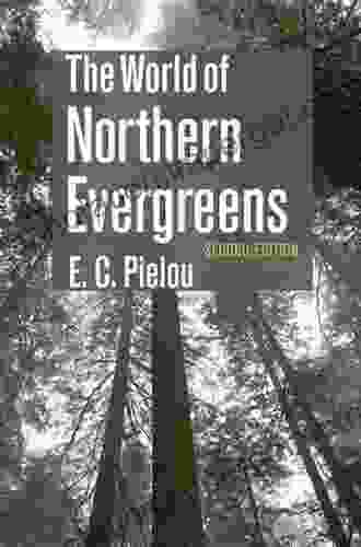 The World Of Northern Evergreens