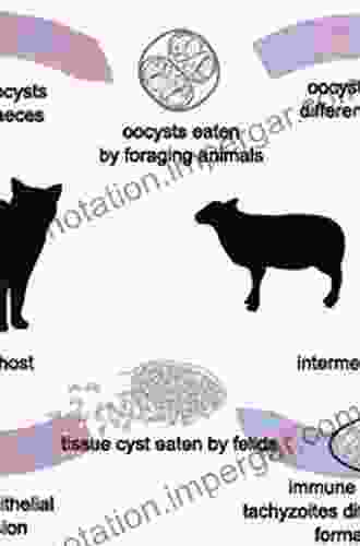 Toxoplasmosis Of Animals And Humans