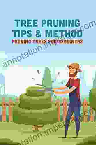 Tree Pruning Tips Method: Pruning Trees for Beginners: Guide to Prunning