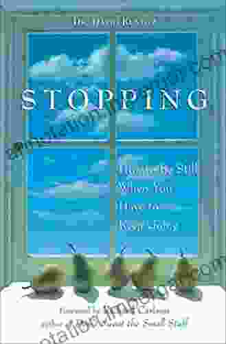 Stopping: How To Be Still When You Have To Keep Going