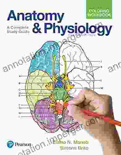 Anatomy and Physiology Coloring Workbook (2 downloads): A Complete Study Guide