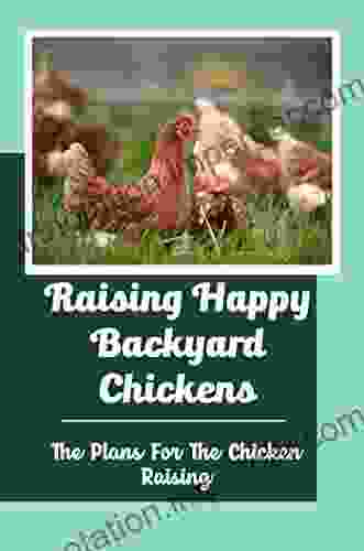 Raising Happy Backyard Chickens: The Plans For The Chicken Raising