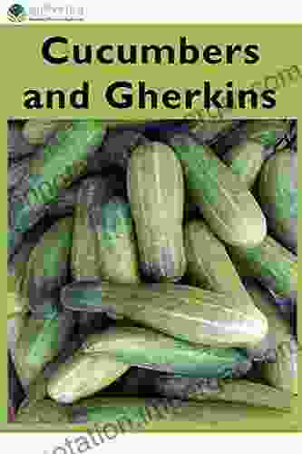 Cucumbers And Gherkins Paul Peacock