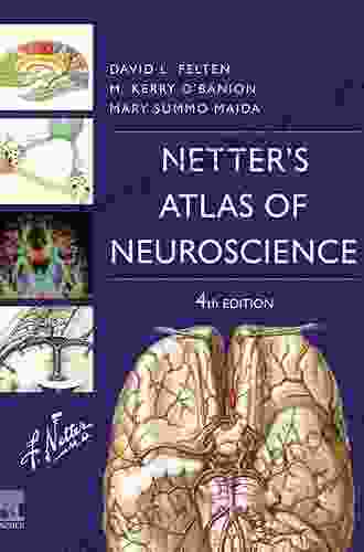 Netter s Atlas of Neuroscience E (Netter Basic Science)