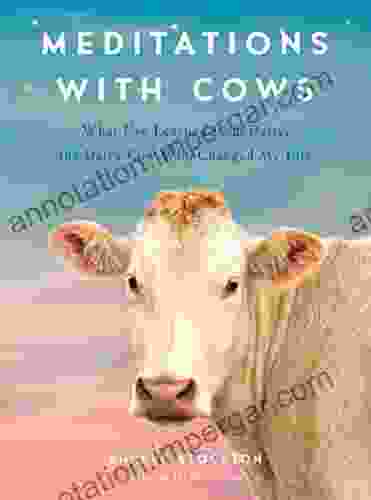 Meditations With Cows: What I Ve Learned From Daisy The Dairy Cow Who Changed My Life