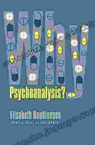 Why Psychoanalysis? (European Perspectives: A In Social Thought And Cultural Criticism)